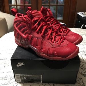 Nike Foamposite pro (GS)